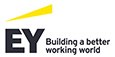 Logo EY Consulting